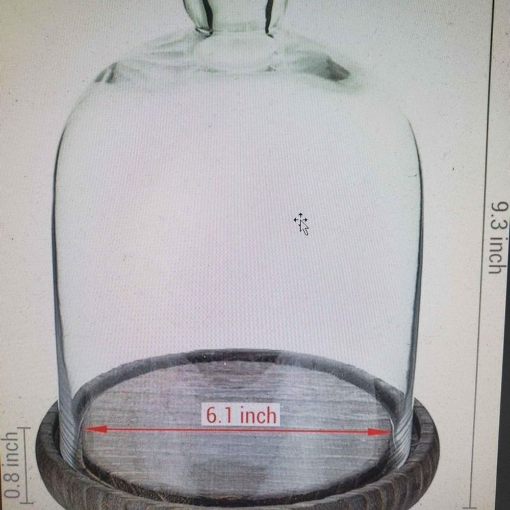 MyGift Clear Cloche Glass Dome, Display Bell Jar with Top Handle and Rustic Brow